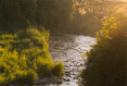 Early Morning Six Mile Creek Southside Ithaca